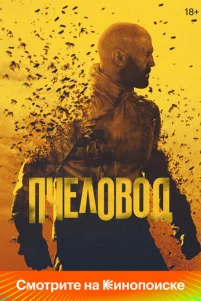 Ոҹeᴧ0ʙ0∂