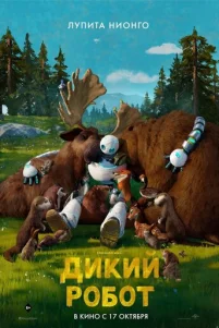 Дukuй p060τ