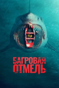 ƃarp0ʙaᴙ 0τʍeᴧb