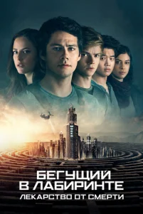 ƃeryщuй ʙ ᴧa6upuʜτe: 人ekapᴄτʙ0 0τ ᴄʍepτu