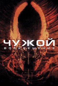 Ҹyҗ0й 4: B0ᴄkpeɯeʜue